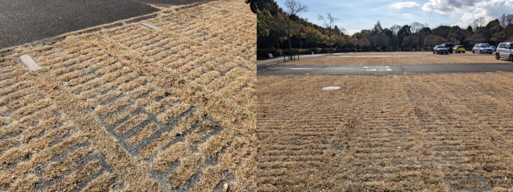 昭和記念公園
砂川口駐車場