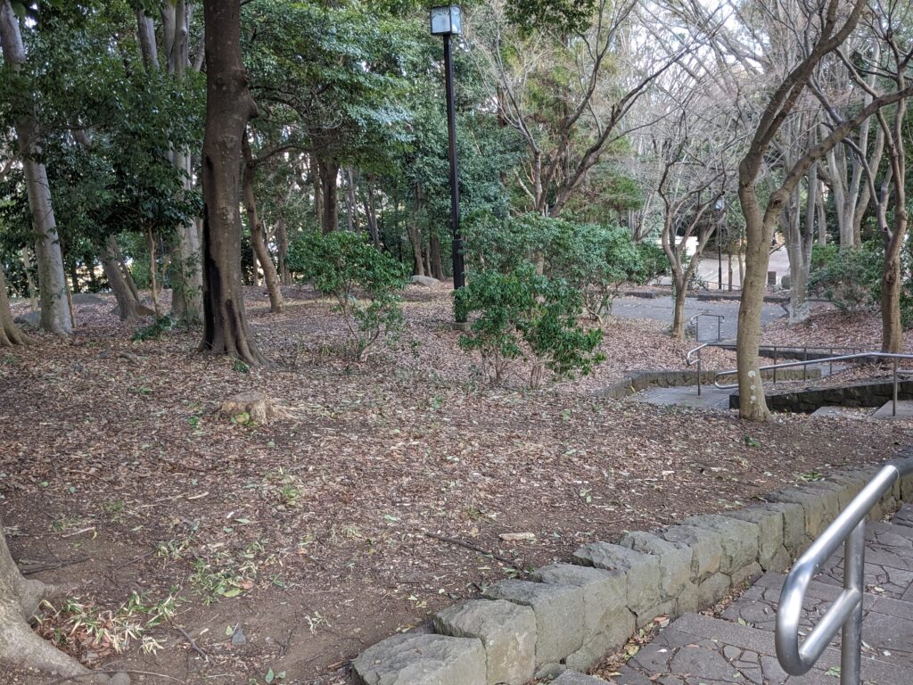 東方公園の雑木林の画像