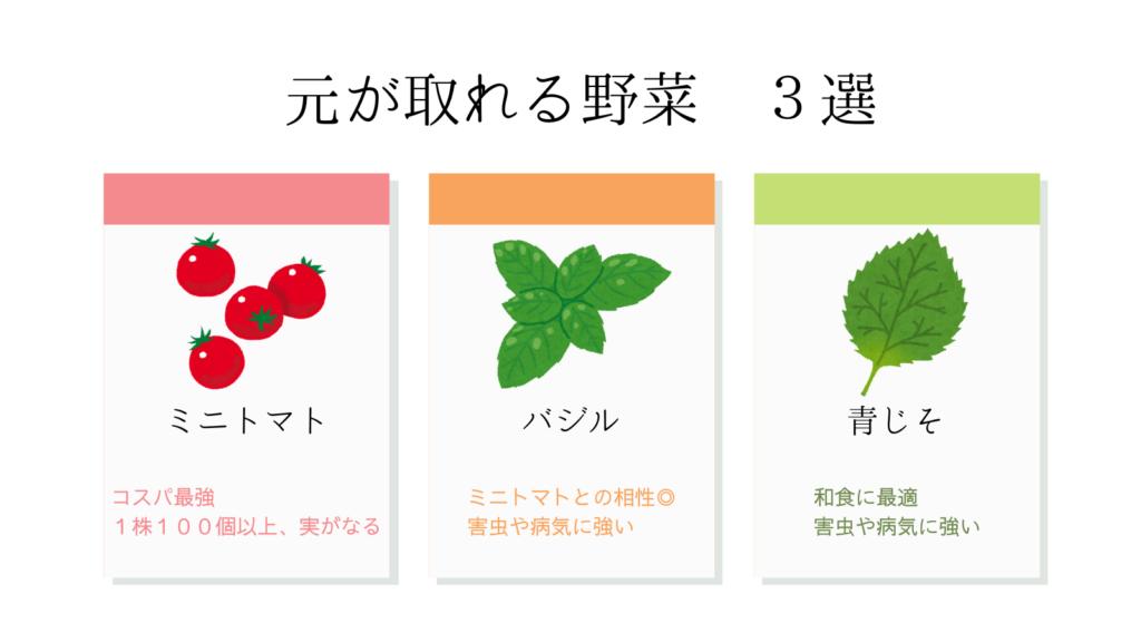 元が取れる野菜はこちら
ミニトマトはコスパ最強、、１株１００個以上、実がなる
バジルはミニトマトとの相性◎、害虫や病気に強い
青じそは和食に最適、害虫、病気に強い