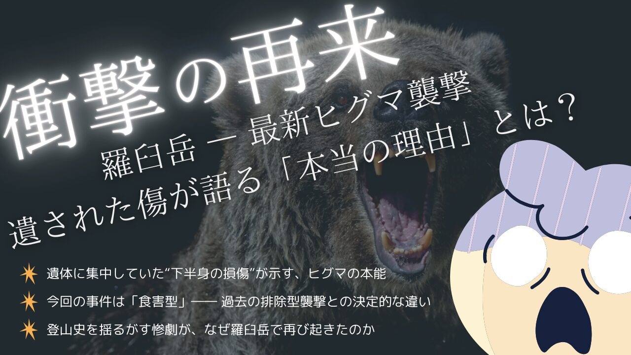 羅臼岳で起きたヒグマ襲撃事件を解説する記事のアイキャッチ画像。熊の咆哮写真とともに「下半身を襲った異常な損傷の真実とは？」という見出しが強調されている。